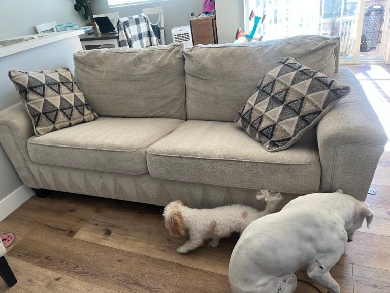 Professional couch cleaning in Los Angeles – Sofa Shine Pros removing dirt and stains from fabric sofa