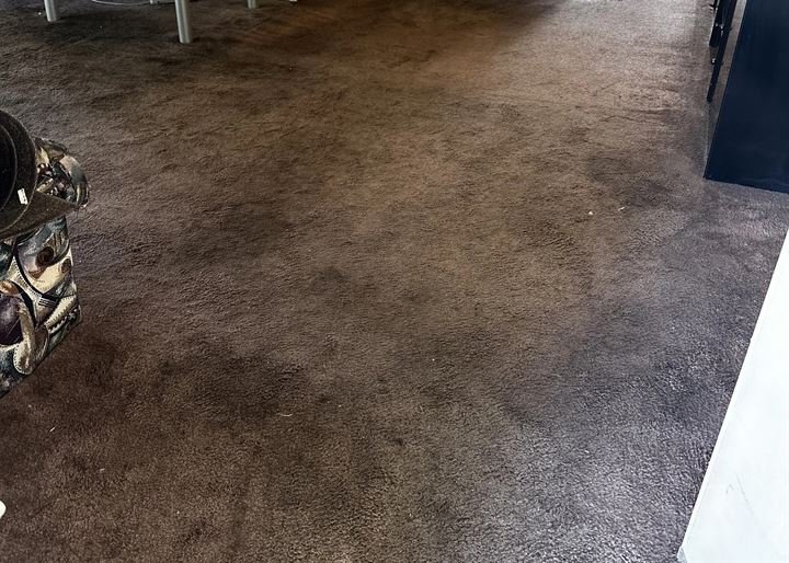 b2 Deep Carpet stain removal – Los Angeles California