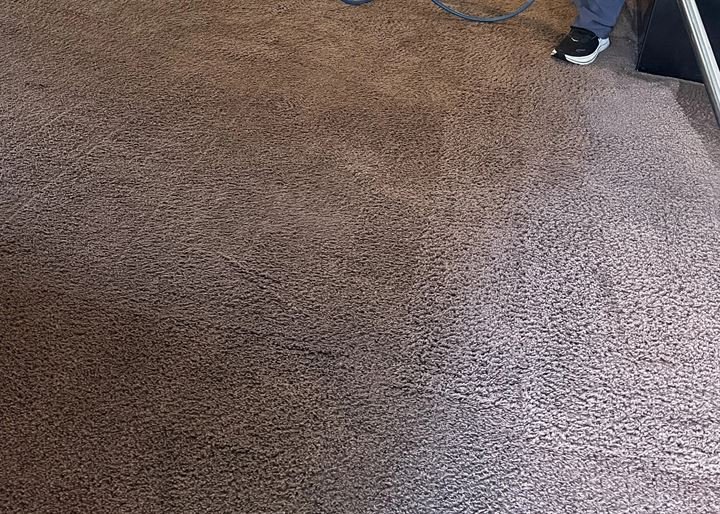 Deep Carpet stain removal – Los Angeles California