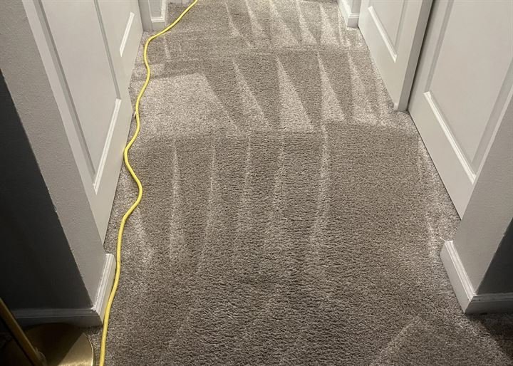 Deep Carpet stain removal – Los Angeles California